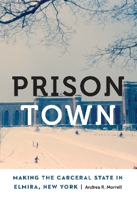 Prison Town - Andrea R. Morrell