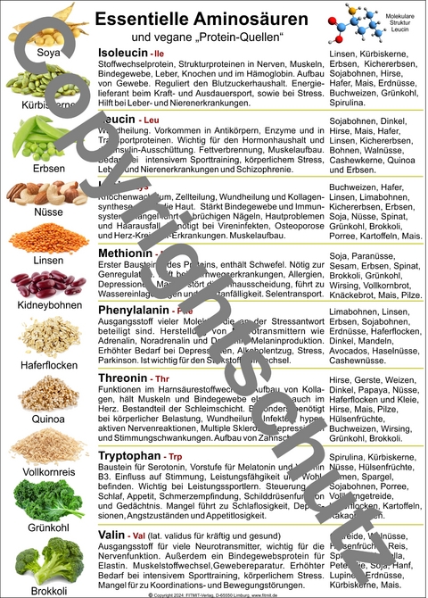 Aminos&auml;uren und vegane Quellen - Tanja Aeckersberg