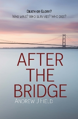 After the Bridge - Andrew Field