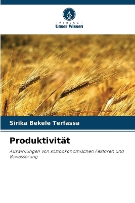 Produktivit&auml;t - Sirika Bekele Terfassa