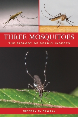 Three Mosquitoes - Jeffrey R. Powell