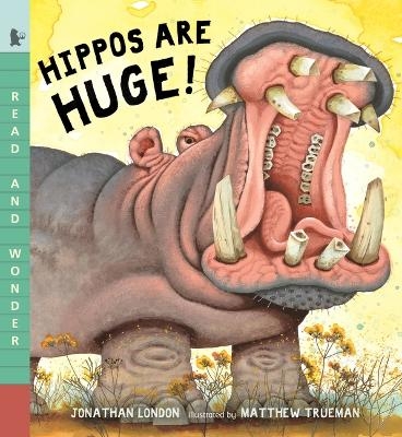 Hippos Are Huge! - Jonathan London