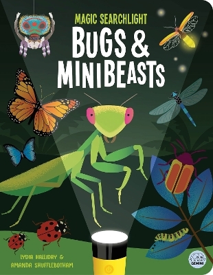 Magic Searchlight - Bugs & Minibeasts - Lydia Halliday