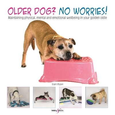 Older Dog? No Worries! - Sian Ryan