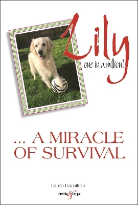 Lily: One in a Million - Laura Hamilton