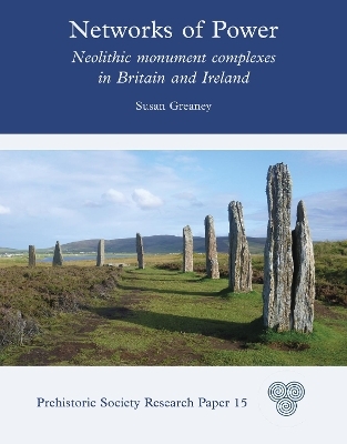 Networks of Power - Susan Greaney