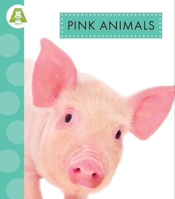 Pink Animals - Golriz Golkar