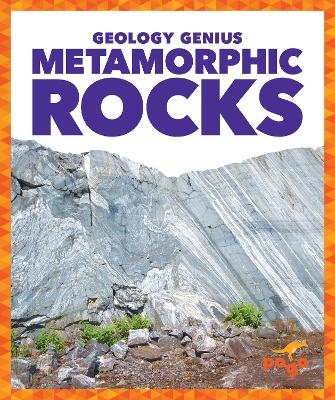Metamorphic Rocks - Rebecca Pettiford