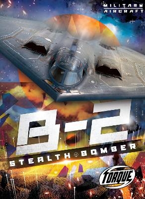 B2 Stealth Bomber - Donna McKinney