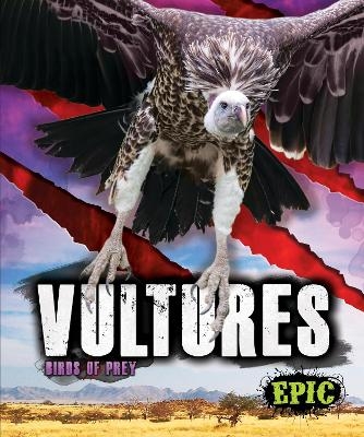 Vultures - Nathan Sommer
