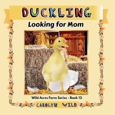 Duckling - Carolyn Wild
