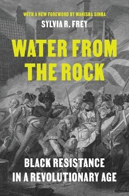 Water from the Rock - Sylvia R. Frey