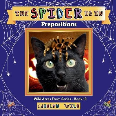 The Spider Is In - Carolyn Wild