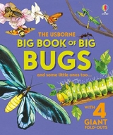 Big Book of Big Bugs - Bone, Emily