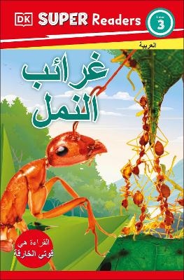 DK Super Readers Level 3 Ant Antics (Arabic translation)