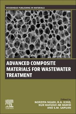 Advanced Composite Materials for Wastewater Treatment - 