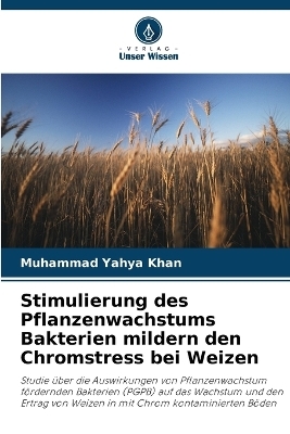 Stimulierung des Pflanzenwachstums Bakterien mildern den Chromstress bei Weizen - Muhammad Yahya Khan