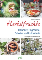 Herbstfrüchte - Sigrid Schimetzky