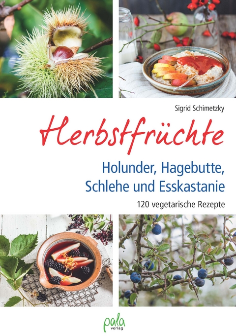 Herbstfrüchte - Sigrid Schimetzky