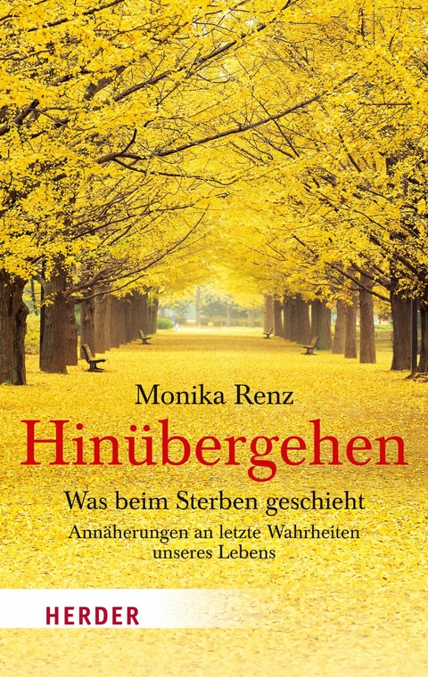 Hin&uuml;bergehen - Monika Renz