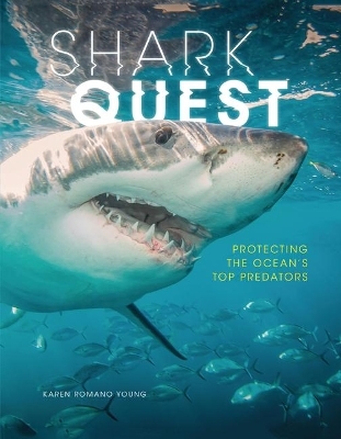 Shark Quest - Karen Romano Young