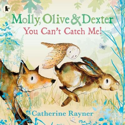 Molly, Olive and Dexter: You Can't Catch Me! - Catherine Rayner