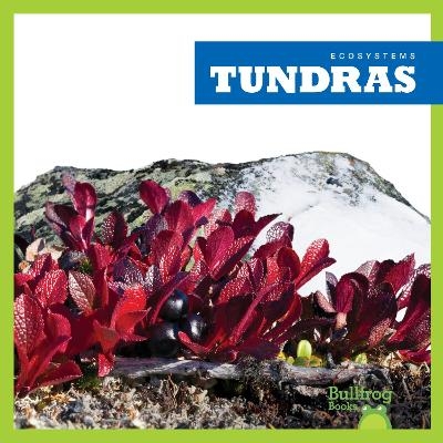 Tundras - Nadia Higgins