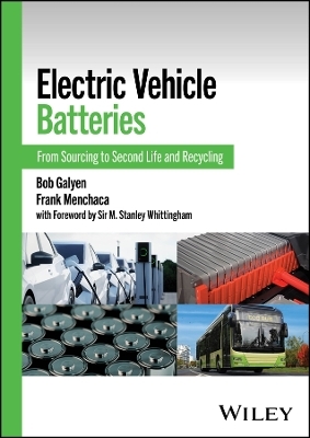 Electric Vehicle Batteries - 