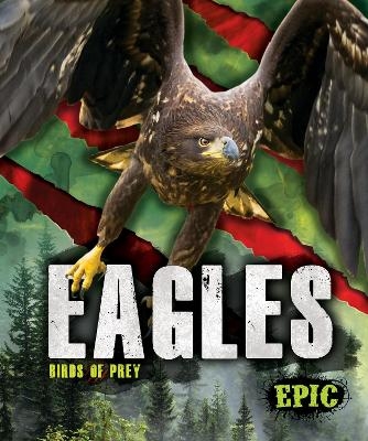Eagles - Nathan Sommer