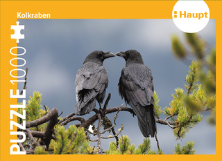 Kolkraben - Puzzle