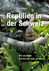 Reptilien in der Schweiz - Ulrich Hofer