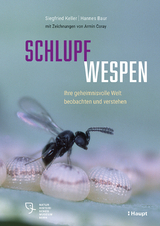 Schlupfwespen - Siegfried Keller, Hannes Baur