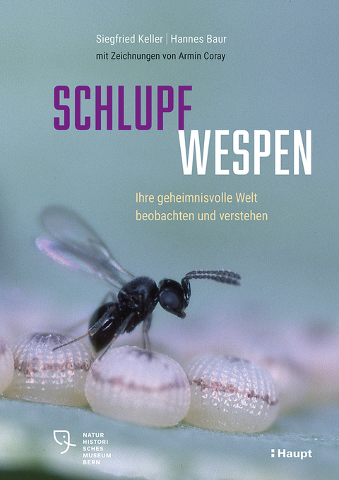 Schlupfwespen - Siegfried Keller, Hannes Baur