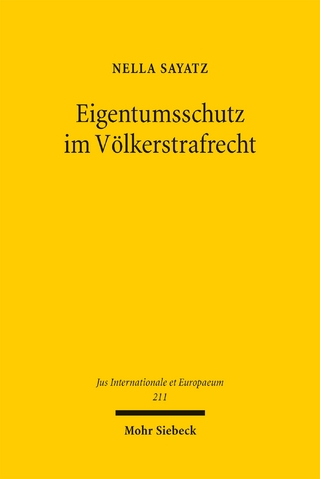 Eigentumsschutz im Völkerstrafrecht
