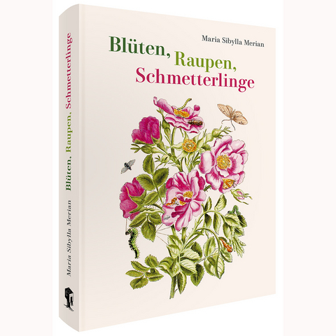 Blüten, Raupen, Schmetterlinge - Maria Sibylla Merian