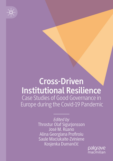 Cross-Driven Institutional Resilience - 