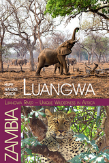 Luangwa River – Unique Wilderness in Africa - Hupe, Ilona; Hupe, Ilona