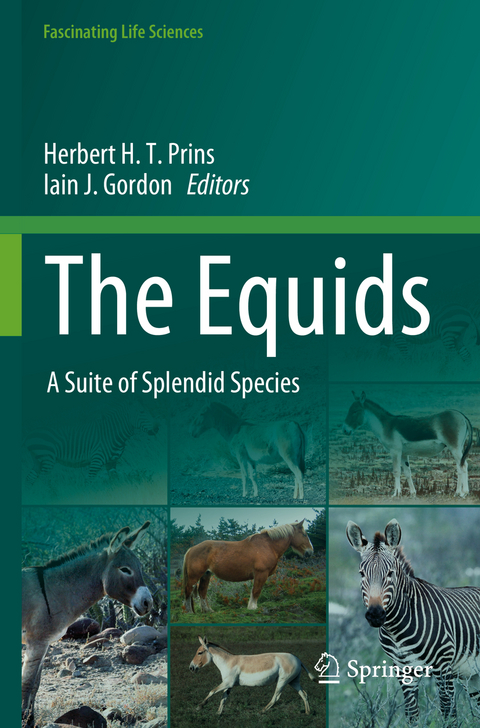 The Equids - 