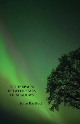 In the Spaces Between Stars Lie Shadows - John Bartlett