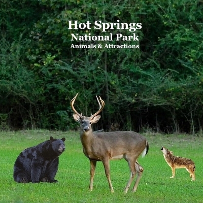 Hot Springs National Park Animals and Attractions Kids Book - Kinsey Marie, National Parks Books, Billy Grinslott
