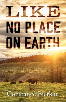 Like No Place on Earth - Constance Bierkan