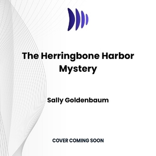 The Herringbone Harbor Mystery