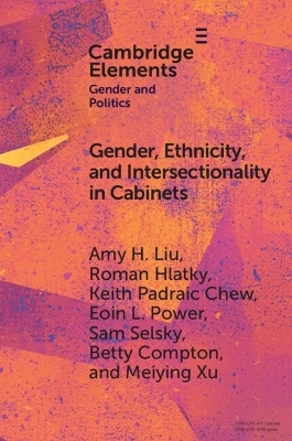 Gender, Ethnicity, and Intersectionality in Cabinets - Amy H. Liu, Roman Hlatky, Keith Padraic Chew, Eoin L. Power, Sam Selsky