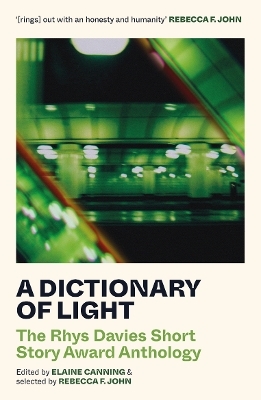 A Dictionary of Light - 