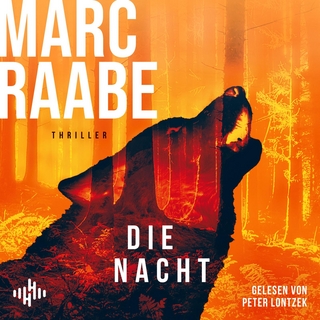 Die Nacht (Art Mayer-Serie 3)