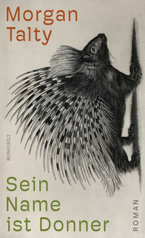 Sein Name ist Donner - Morgan Talty