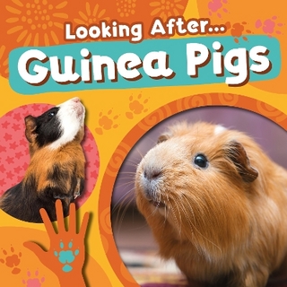 Guinea Pigs