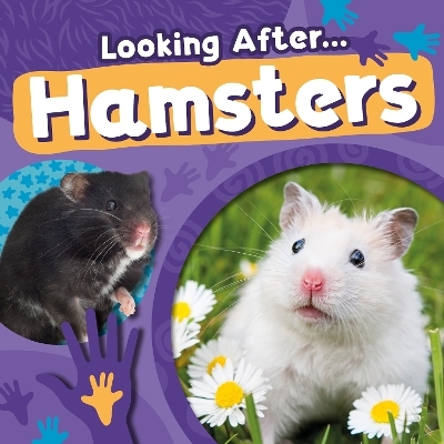 Hamsters - Rebecca Phillips-Bartlett