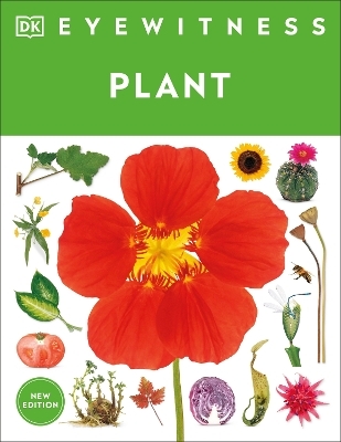 Eyewitness Plant -  Dk