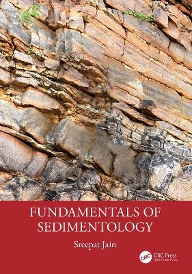 Fundamentals of Sedimentology - Sreepat Jain